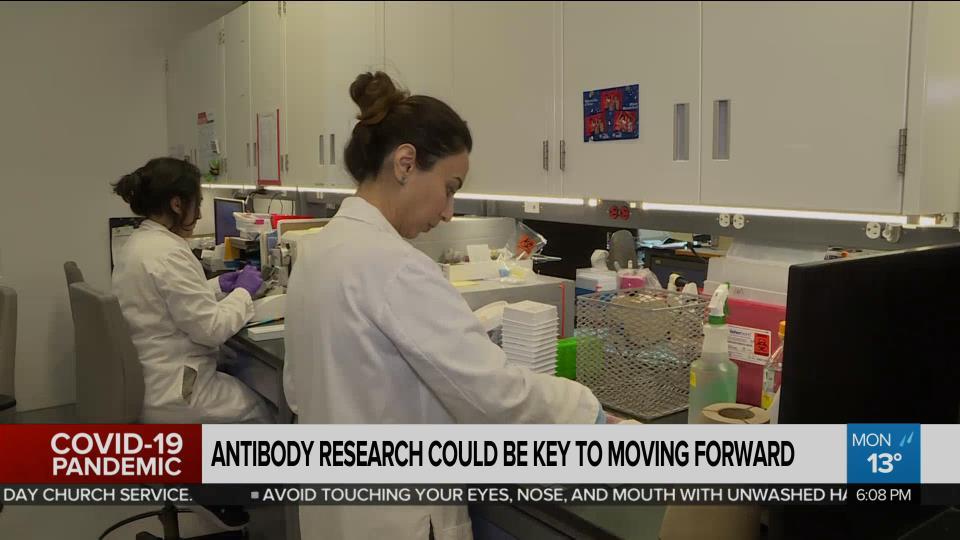 Researchers working in a lab