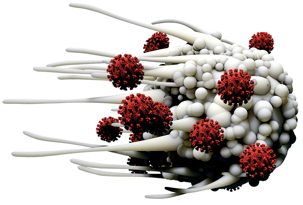 dendritic-cell-1000